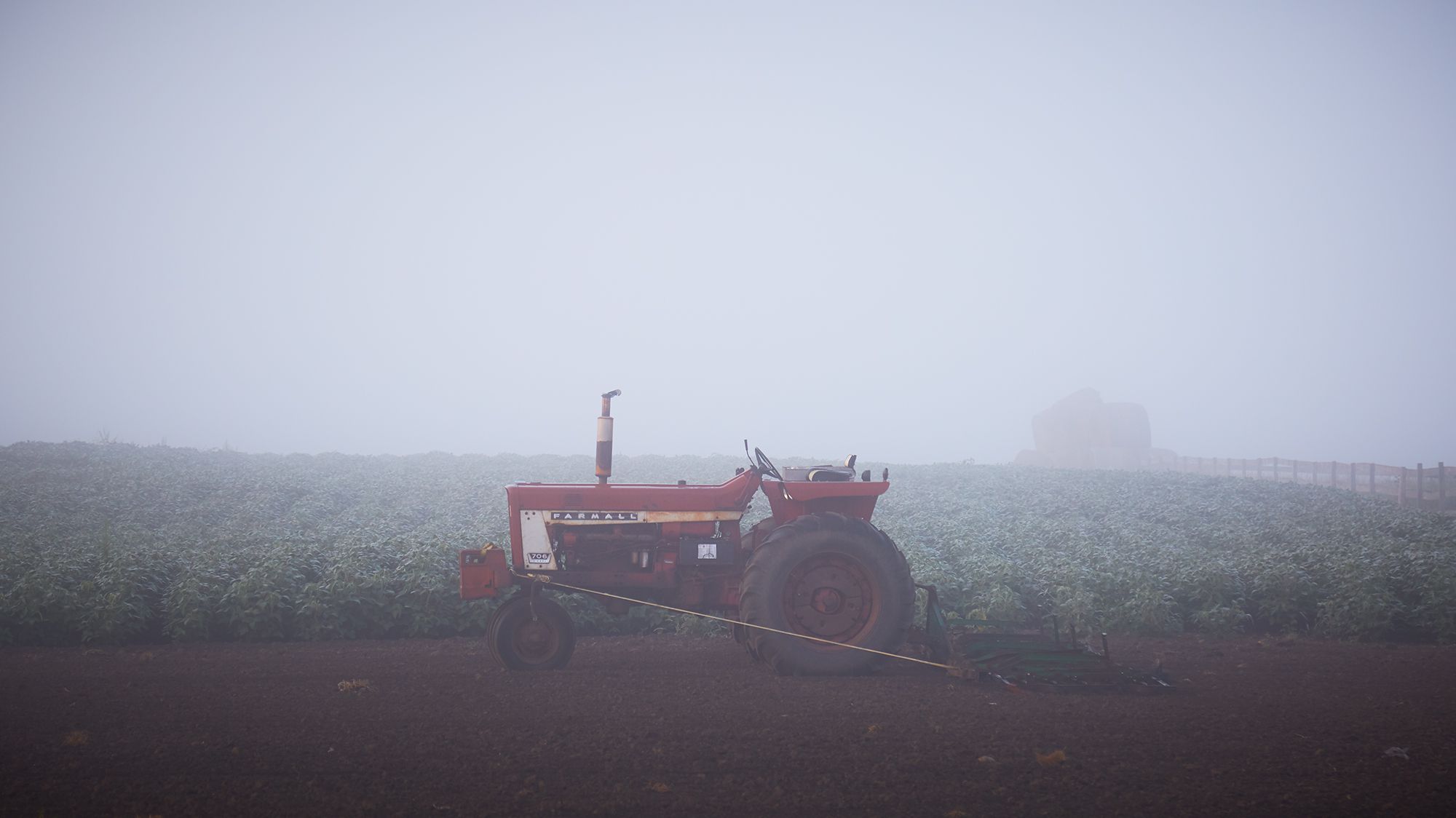 Mist rises on a suburban farm.