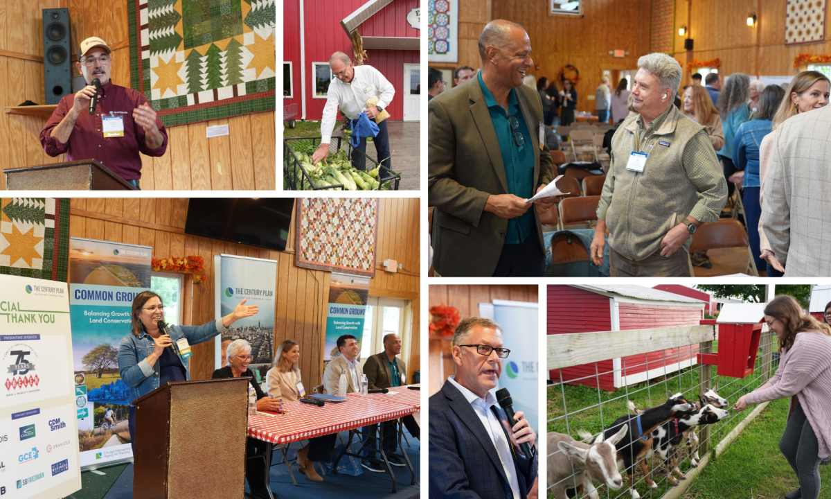 Collage of photos from Common Ground event: speakers presenting, attendees chatting, person selecting corn, person petting goats