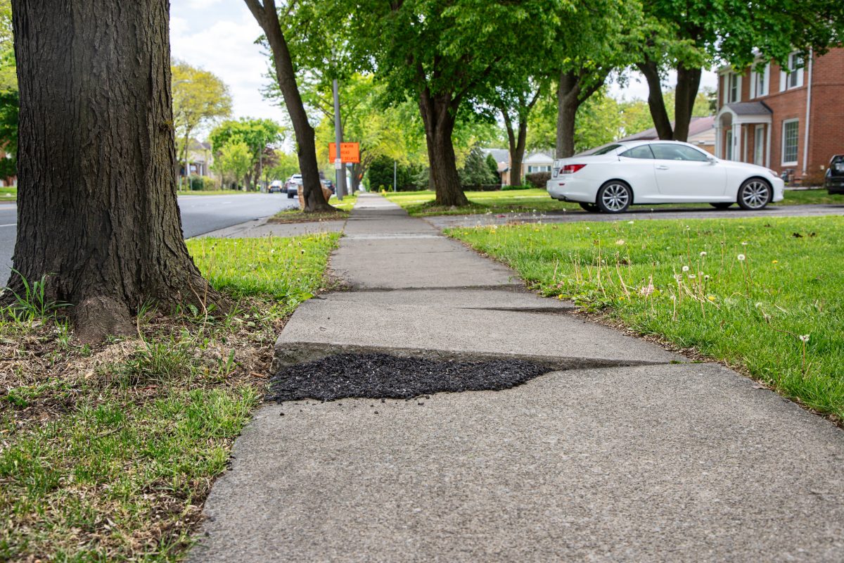 Sidewalk with uneven concrete slabs next to a tree. Asphalt hs been used to attempt to create a curved/ramp connection between two pieces of concrete